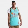 Mitchell & Ness NBA Michael Jordan All Star East 1996 HWC Authentic Jersey TEAL 2 Mitchell & Ness NBA Michael Jordan All Star East 1996 HWC Authentic Jersey TEAL -Lifestyle Ρούχα Εκπτώσεις mitchell ness authentic jersey