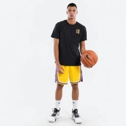 NBA Los Angeles Lakers Lebron James Ανδρικό T-Shirt Multi -Lifestyle Ρούχα Εκπτώσεις nba branded lion toss ss teelebron james 4