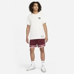 Nike Giannis Ανδρικό T-Shirt SAIL 11 Nike Giannis Ανδρικό T-Shirt SAIL -Lifestyle Ρούχα Εκπτώσεις nike ga m nk tee premium 4